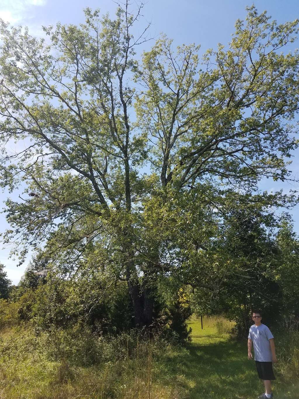 Ballanger Creek Habitat Enhancement Site | 5962 U.S. 9, Tuckerton, NJ 08087