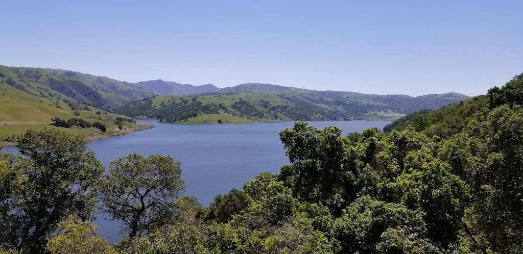 Sunol Regional Wilderness | 1895 Geary Rd, Sunol, CA 94586 | Phone: (510) 544-3249