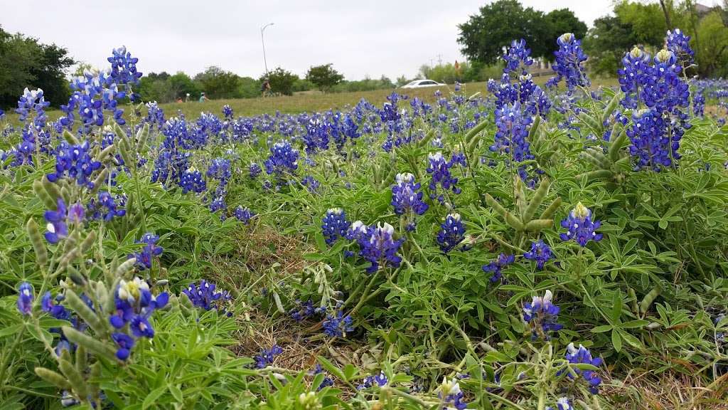 Bluebonnet Field Park | Universal City, TX 78148, USA