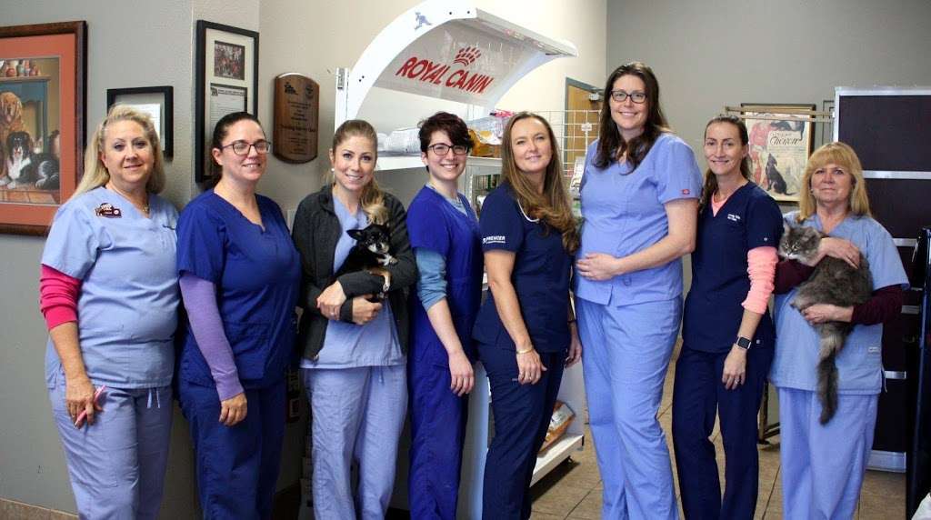 Traveling Tails Veterinary Clinic | 2250 Thousand Oaks #102, San Antonio, TX 78232, USA | Phone: (210) 495-8245