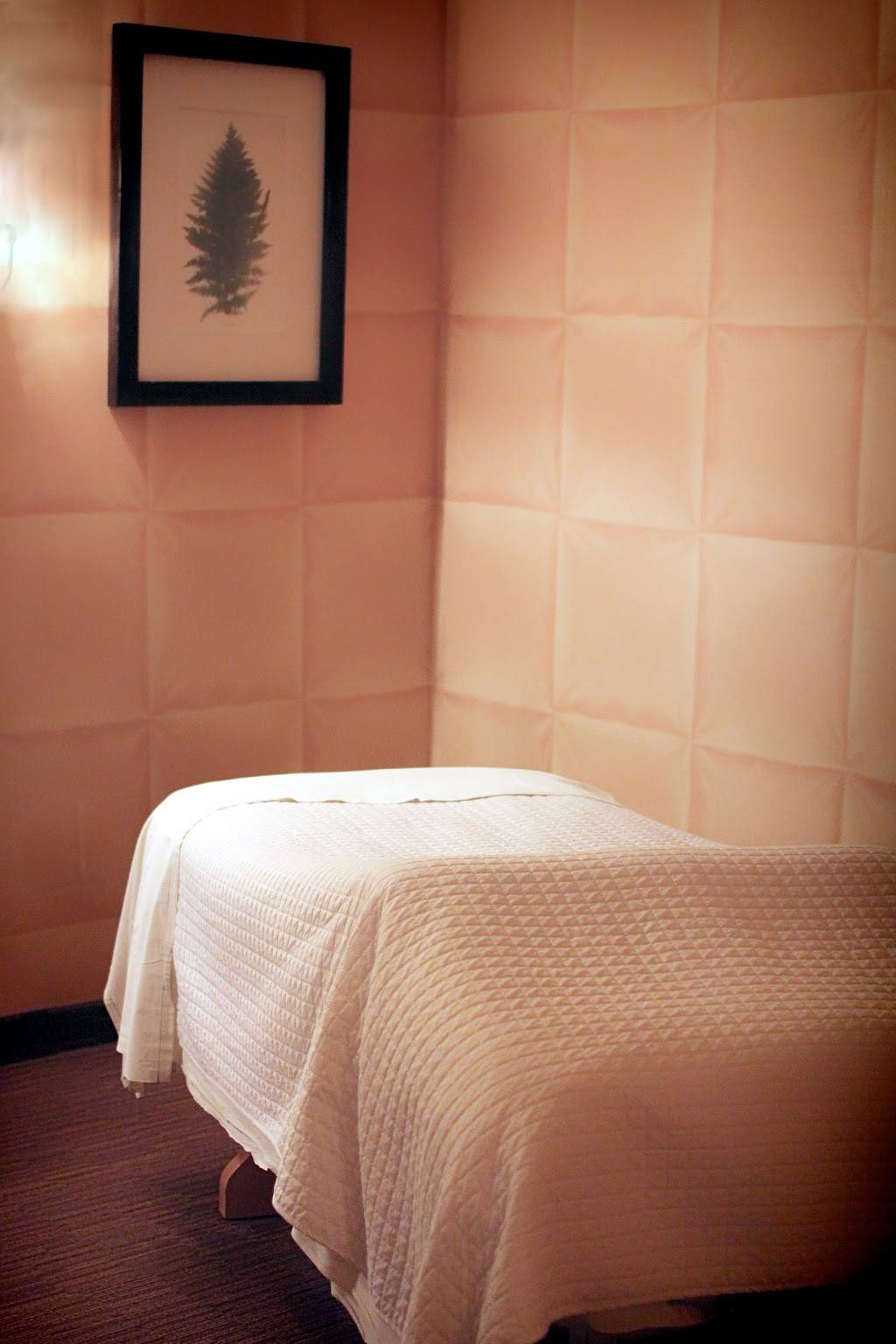 Lorena Luca Skin & Spa - CARY | 1000 Darrington Dr #100, Cary, NC 27513, USA | Phone: (919) 380-0041