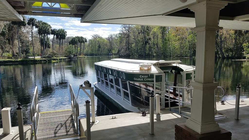 Glass Bottom Boat Tours at Silver Springs | 5656 E Silver Springs Blvd, Silver Springs, FL 34488, USA | Phone: (352) 261-5840