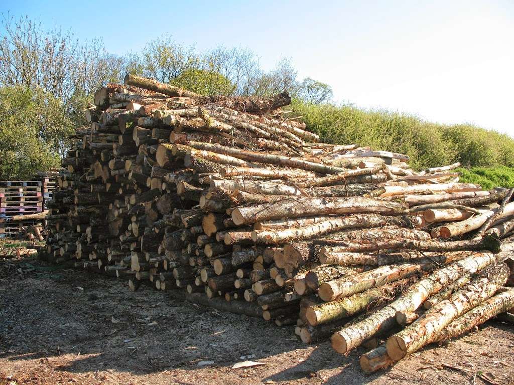 KNT (kindling n things) LTD | 2, Flight Path Farm, Broadbridge Lane, Smallfield, Horley RH6 9RF, UK | Phone: 01342 716161