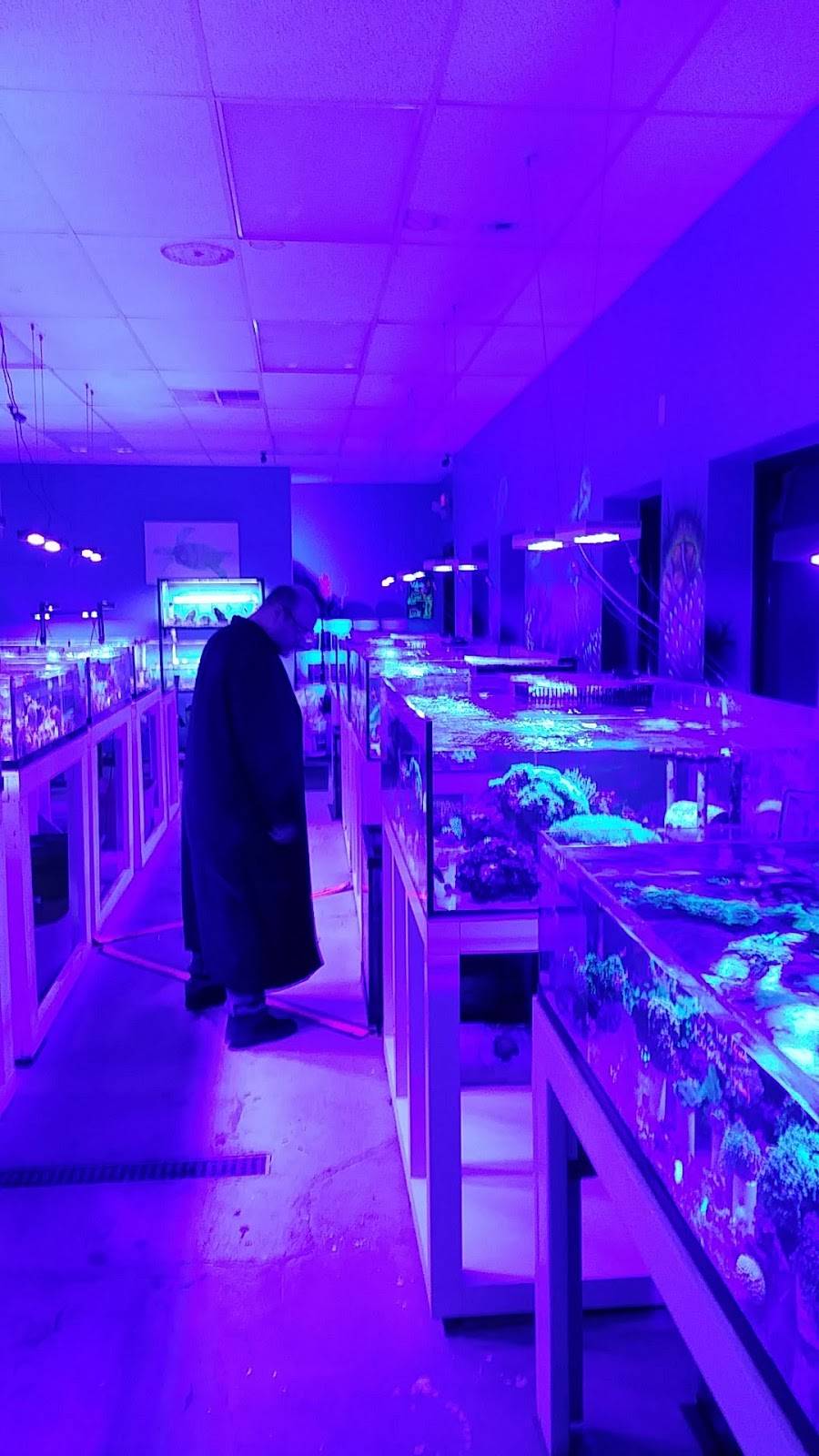 BUFFALO CORAL REEF | 4942 Genesee St, Buffalo, NY 14225, USA | Phone: (716) 633-7333