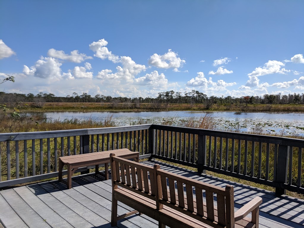 Disney Wilderness Preserve | 2700 Scrub Jay Trail, Poinciana, FL 34759, USA | Phone: (407) 935-0002