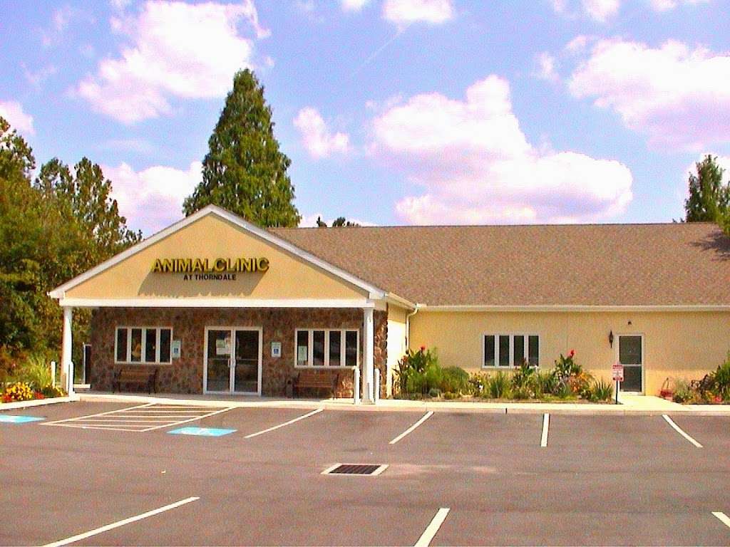 Animal Clinic at Thorndale, PC | 431 Bondsville Rd, Downingtown, PA 19335, USA | Phone: (610) 873-4091