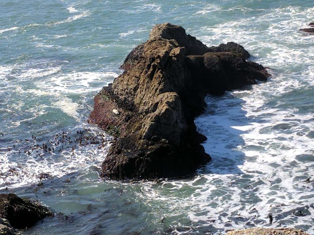 Bodega Head Trail | 3799 Westshore Rd, Bodega Bay, CA 94923, USA | Phone: (707) 875-3483