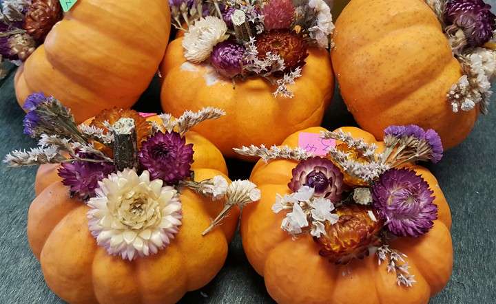 Cavages Country Farm Market | 1203 Roosevelt Hwy, Waymart, PA 18472, USA | Phone: (570) 251-7709