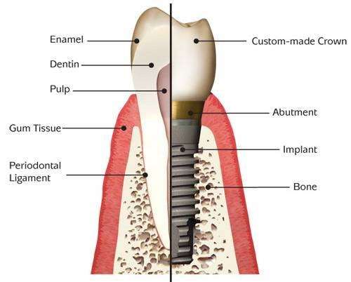 Scott G Ferguson Jr DDS PA | 702 W Arapaho Rd # 100, Richardson, TX 75080, USA | Phone: (972) 669-9444