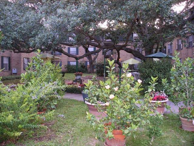 The Treemont Retirement Community | 2501 Westerland Dr, Houston, TX 77063, USA | Phone: (713) 783-6820