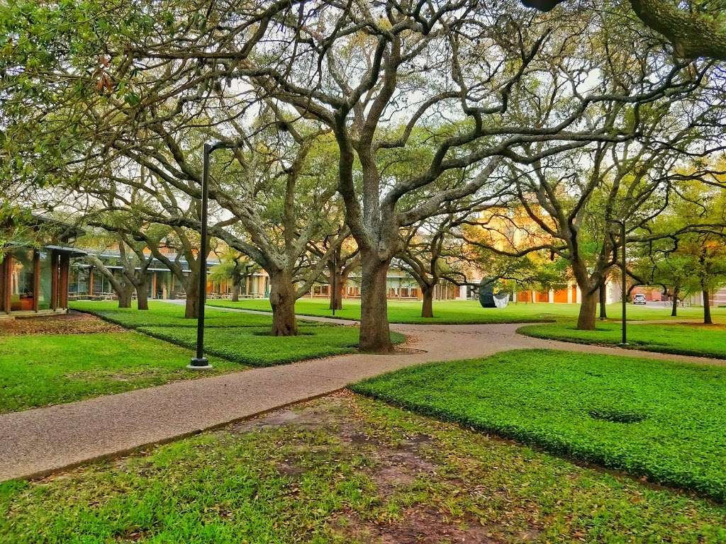 Rice University | 6100 Main St, Houston, TX 77005, USA | Phone: (713) 348-0000