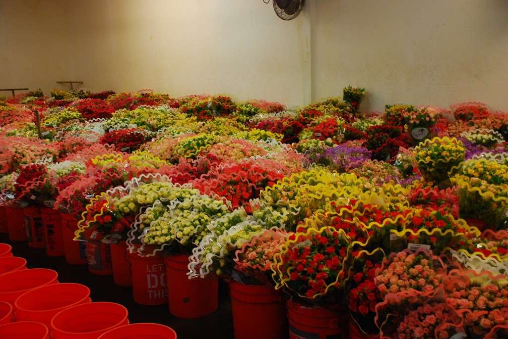 California Pajarosa Floral | 133 Hughes Rd, Watsonville, CA 95076, USA | Phone: (831) 722-6374