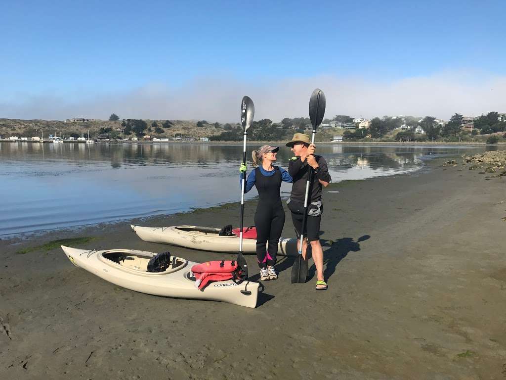 Bodega Bay Surf Shack | 1400 CA-1 e, Bodega Bay, CA 94923, USA | Phone: (707) 875-3944