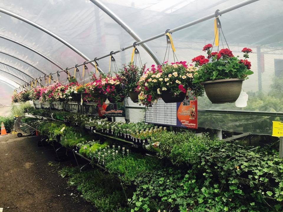 Jim Jenkins Lawn & Garden Center | 1877 Painters Run Rd, Pittsburgh, PA 15241 | Phone: (412) 221-3070