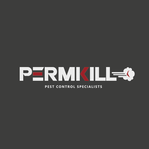 Permkill | 108 Cromwell Ave, Cheshunt, Waltham Cross EN7 5DW, UK | Phone: 020 8614 0761