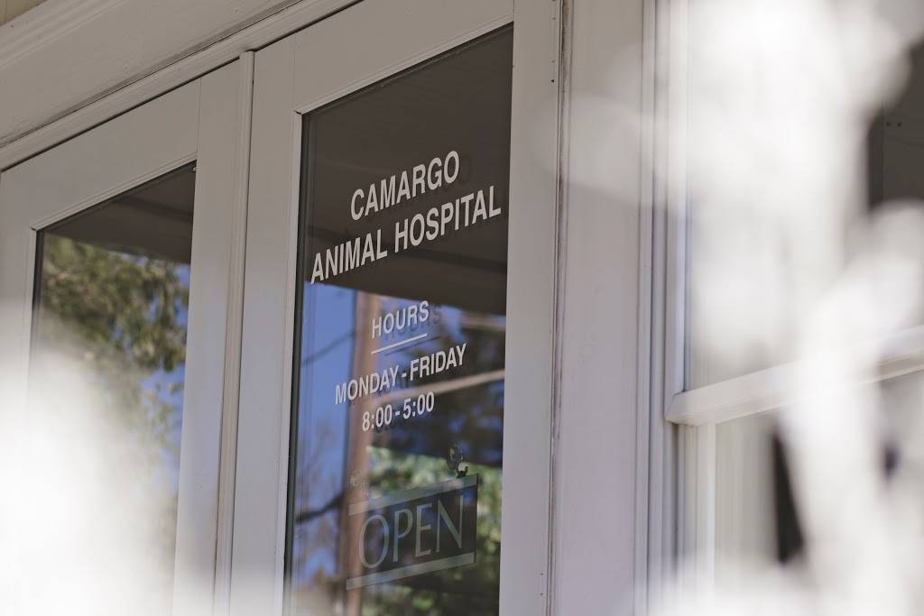 Camargo Animal Hospital | 8165 Camargo Rd, Madeira, OH 45243, USA | Phone: (513) 793-9430