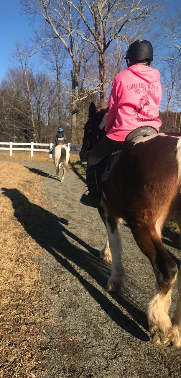 The Mane Companies/Mane Equestrian Center LLC | 1216, 235 Lincoln Rd, Walpole, MA 02081 | Phone: (508) 254-0171