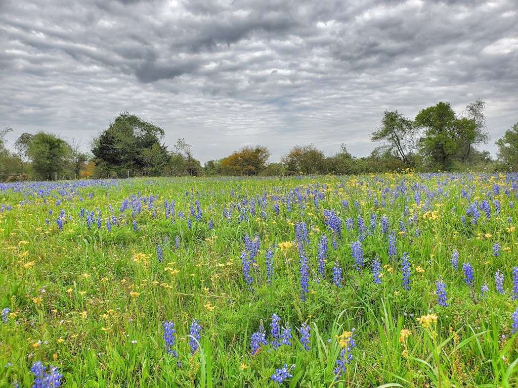 San Felipe de Austin State Historic Site | 220 2nd St, San Felipe, TX 77473, USA | Phone: (979) 885-2181