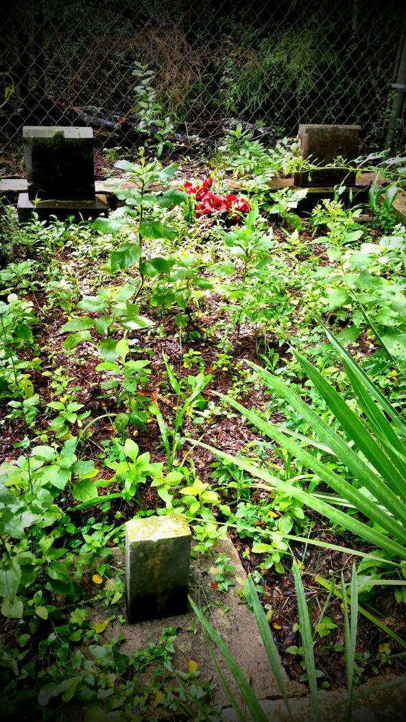 Henry Family Cemetery | Across from Bay Area Park., Bay Area Blvd, Pasadena, TX 77507, USA | Phone: (713) 703-1737