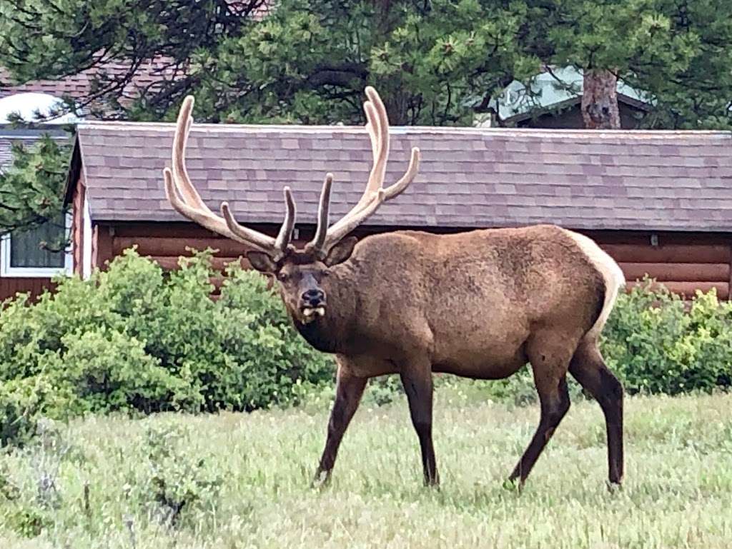 Odessa Gorge | 540 Laurel Ln #5, Estes Park, CO 80517, USA | Phone: (800) 324-4149