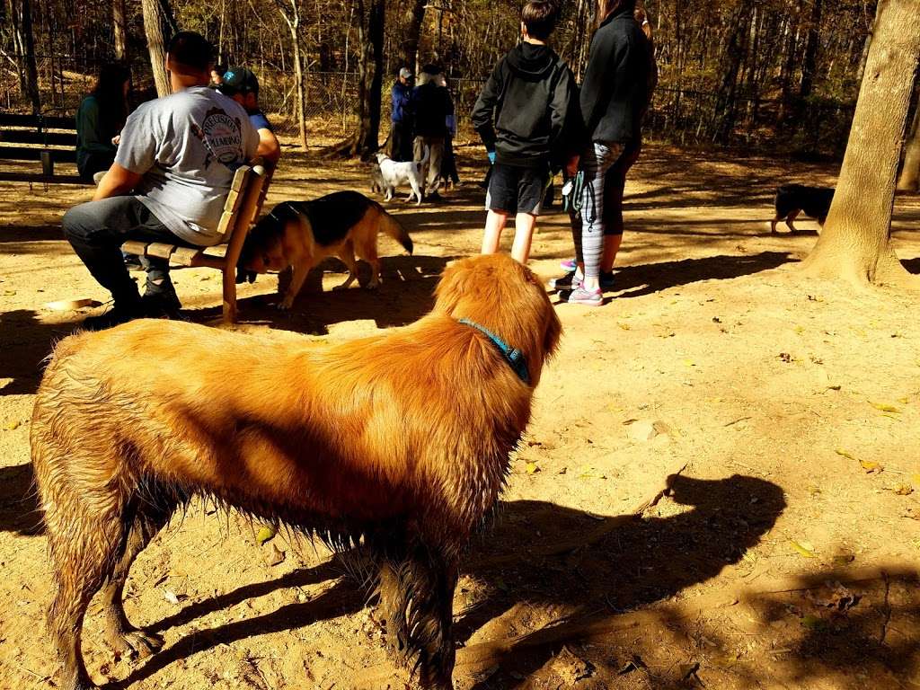 William R. Davie Regional Dog Park | 4635 Pineville-Matthews Rd, Charlotte, NC 28226, USA | Phone: (704) 432-0709