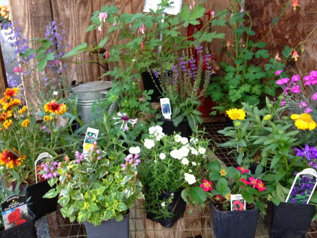 Fritz Farm & Nursery | 1001 Hollingsworth Rd, Joppa, MD 21085 | Phone: (410) 877-1766