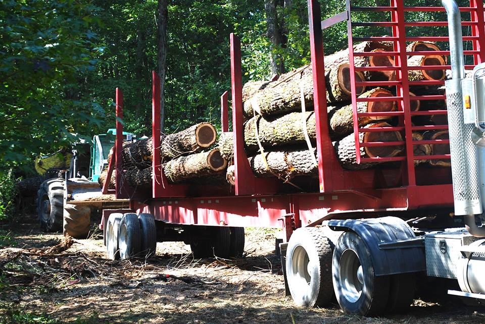 Timber Marketing & Management | 9520 Iron Bridge Rd Suite 13, Chesterfield, VA 23832 | Phone: (804) 796-9622