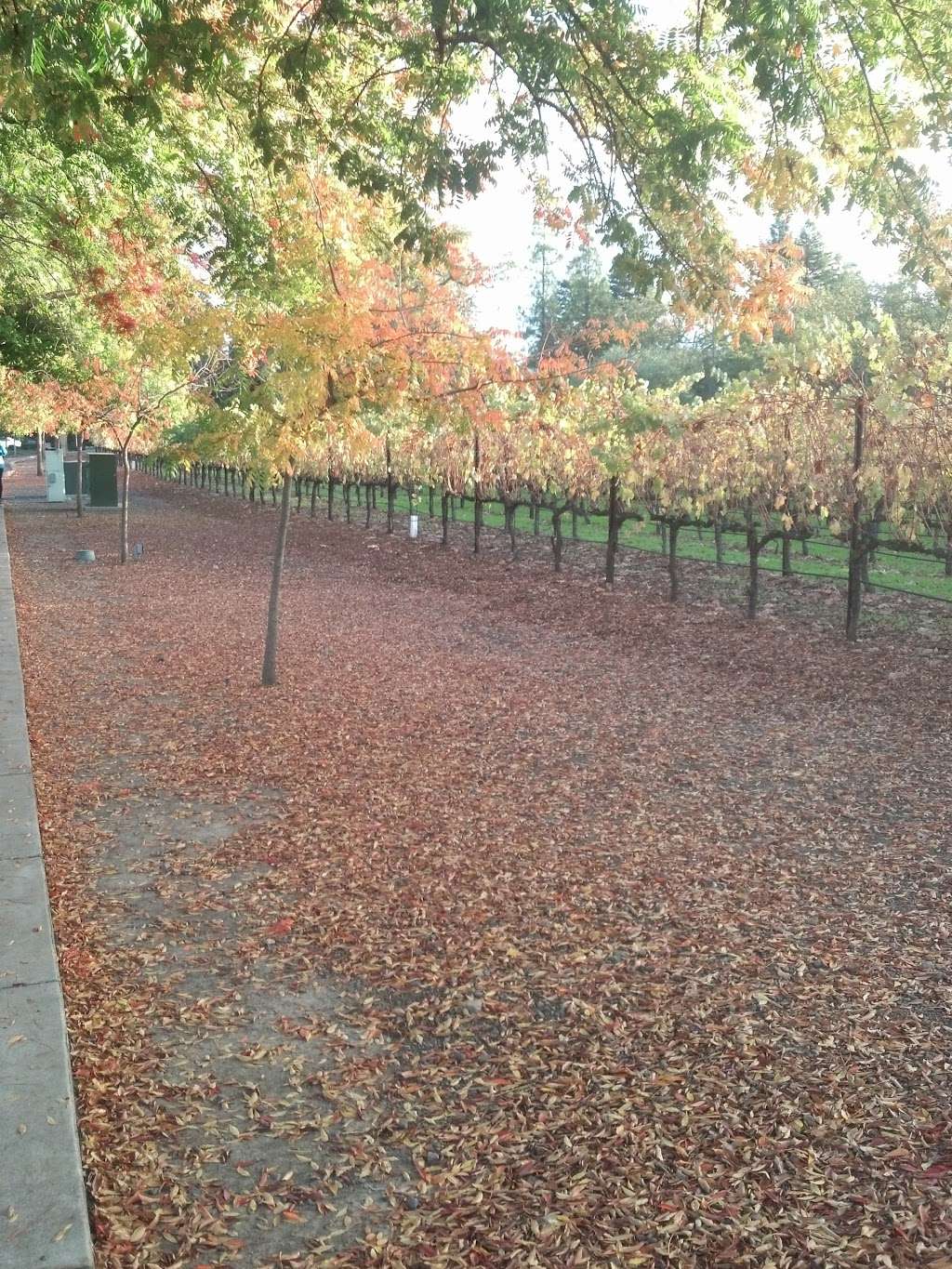 Washington St at Mission St (NW) | Yountville, CA 94599, USA