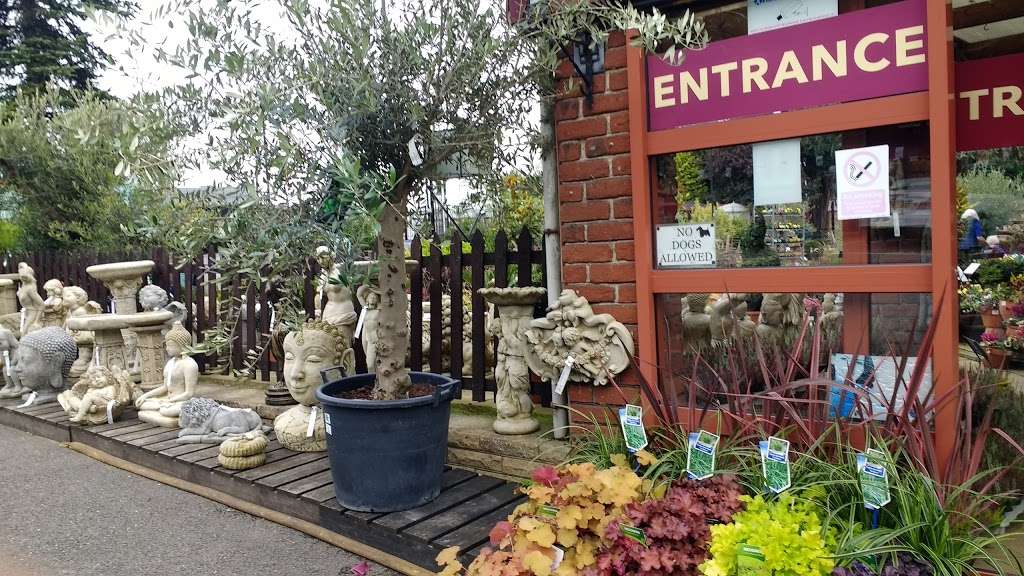 Wolden Garden Centre | Cattlegate Rd, Enfield EN2 9DW, UK | Phone: 020 8363 7003