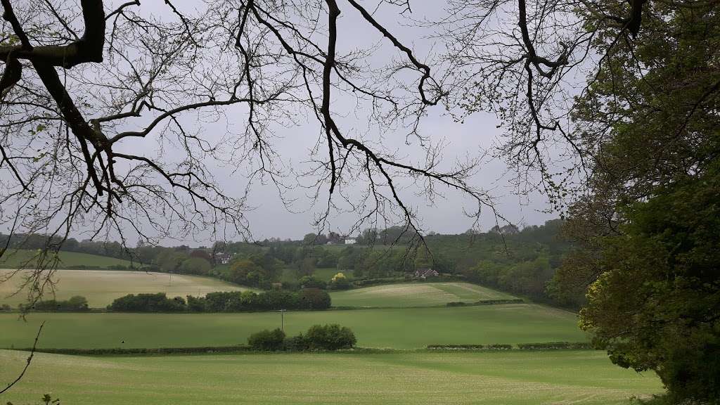 Darent Hulme Barn | Shacklands Rd, Shoreham TN14 7TU, UK | Phone: 01959 525656