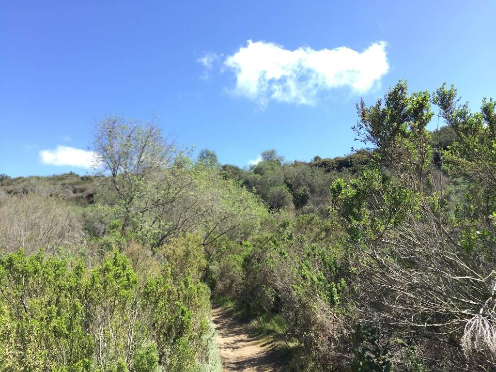 Buck Gully trailhead | 872 Poppy Ave, Corona Del Mar, CA 92625, USA