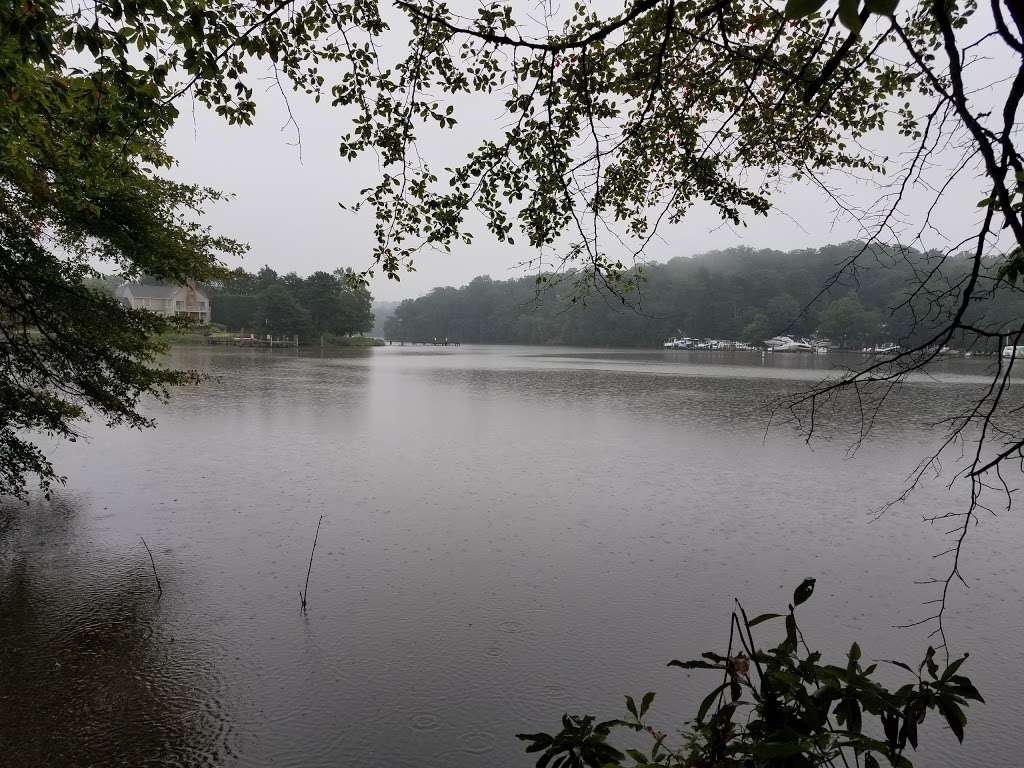 Indian Head Landind Road Trailhead At The Severn River | 960-1020 Indian Landing Rd, Millersville, MD 21108, USA