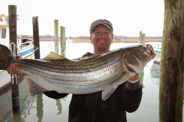 Miss Chris Marina and Kayaks | 1212 Wilson Dr, Cape May, NJ 08204, USA | Phone: (609) 884-3351