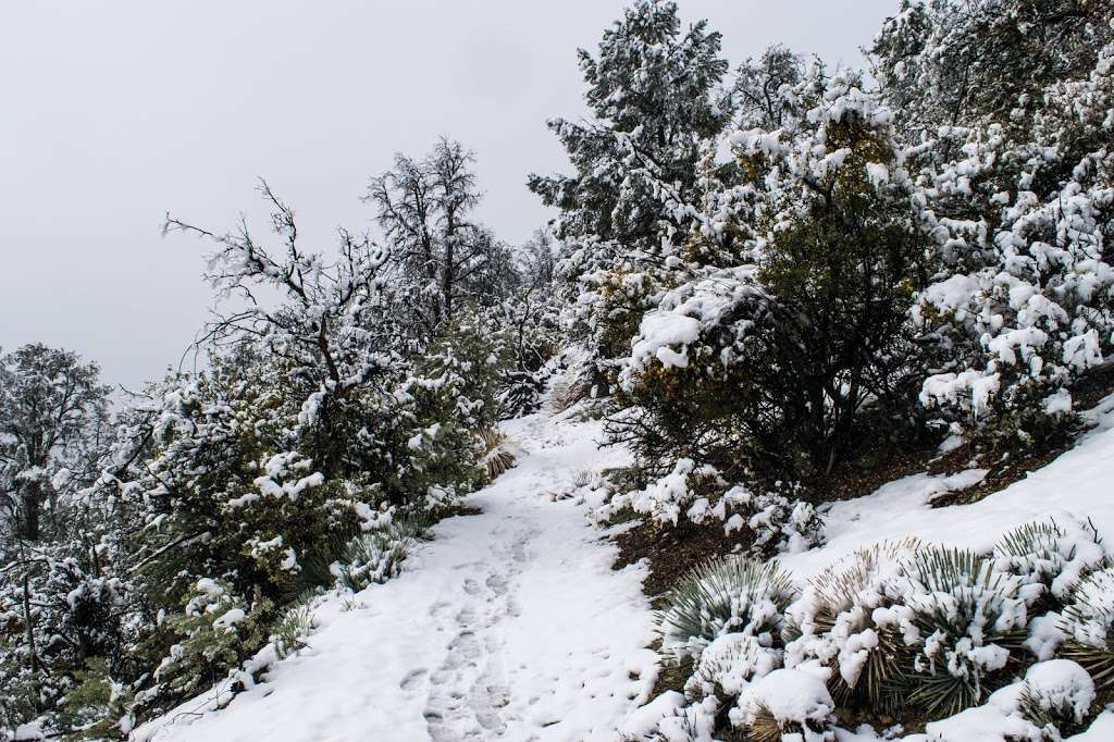 Eagle Pass Ridge Hike | Pine Mountain Club, CA 93222, USA