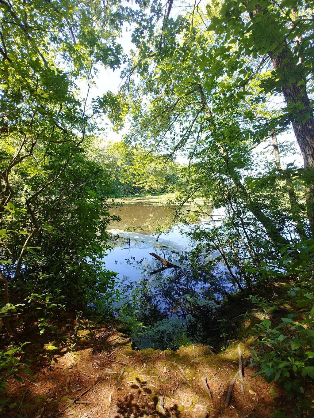 Gardner Hill Conservation Area | Bradley Ln, Stow, MA 01775, USA | Phone: (978) 897-8615