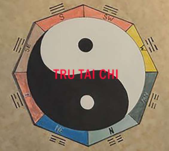 Tru Tai Chi | 7069 Golf Colony Ct, Lake Worth, FL 33467, USA | Phone: (561) 429-2135