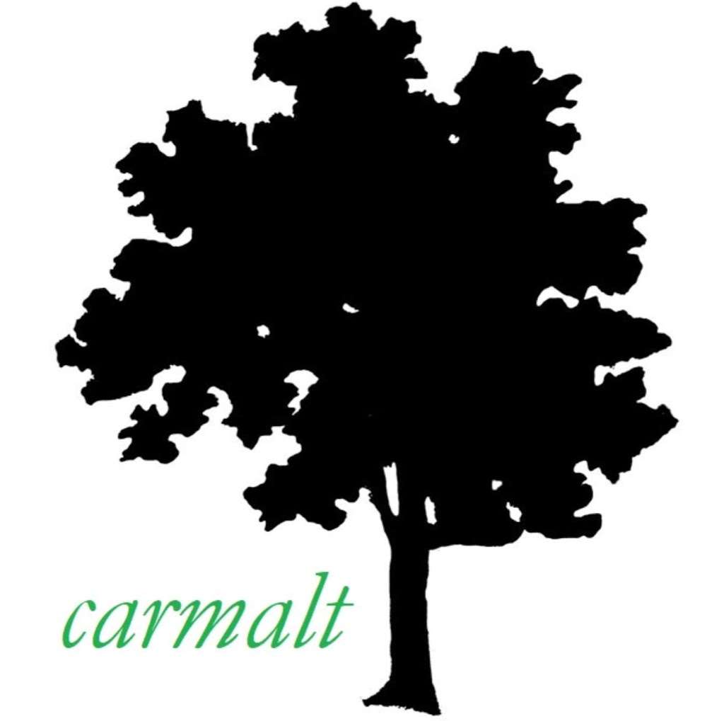 Carmalt | 1097 Carmalt St, Dickson City, PA 18519, USA | Phone: (570) 489-4385