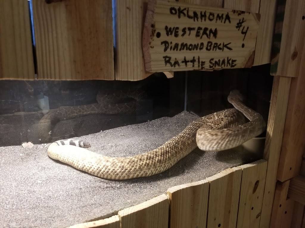 OKC Rattlesnake Museum | Oklahoma City, OK 73108, USA | Phone: (405) 850-5905