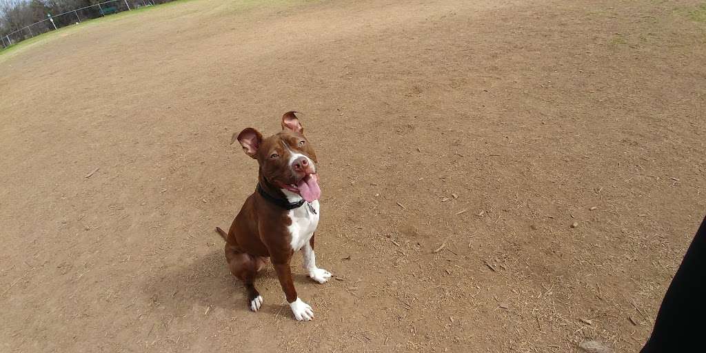 Scentral Dog Park | 4601 Centennial Dr, Rowlett, TX 75088