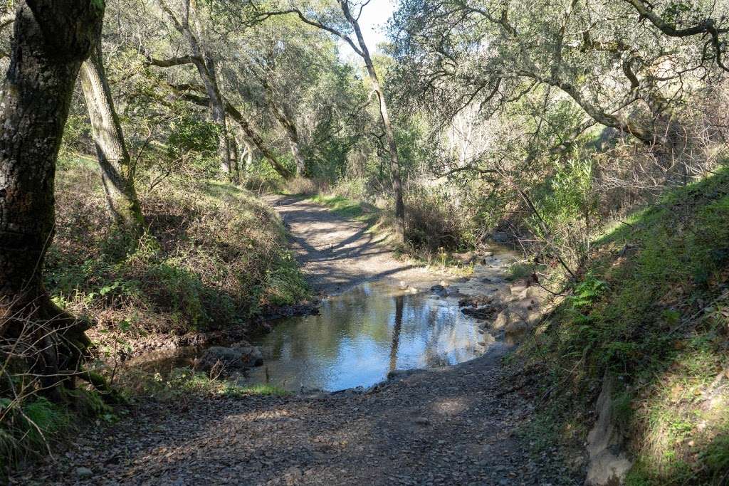 Castle Rock Regional Recreation Area | 1700 Castle Rock Rd, Walnut Creek, CA 94598 | Phone: (510) 544-3086