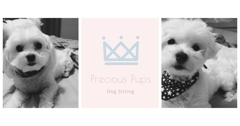 Precious Pups Dog Sitting | 11123 W Hollywood Street, Wichita, KS 67215 | Phone: (316) 290-9697