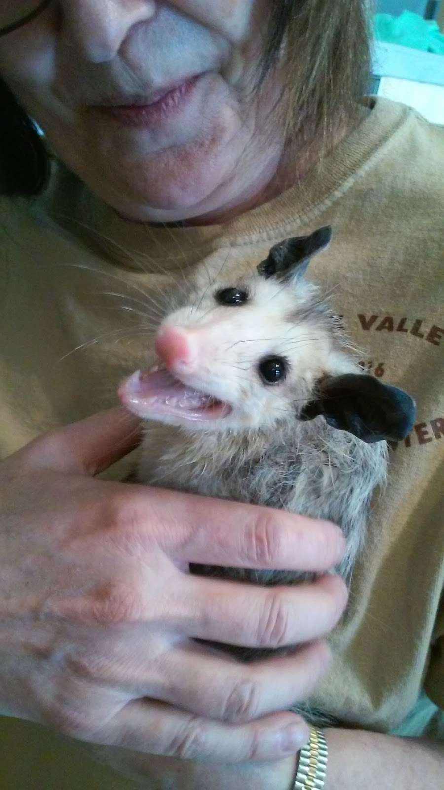 Fox Valley Wildlife Center | 45W061, IL-38, Elburn, IL 60119, USA | Phone: (630) 365-3800