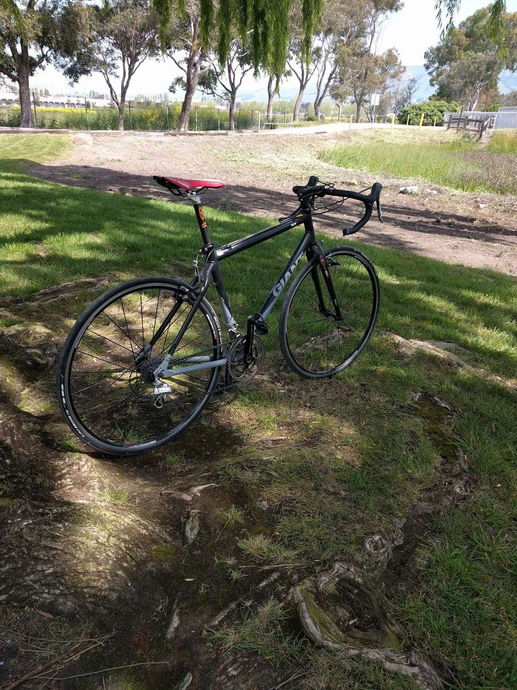 Coyote Lagoon at Don Edwards | Landing Rd, Fremont, CA 94538