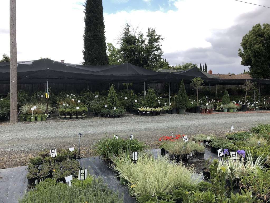 Capitol Wholesale Nursery, Inc. | 2938 Everdale Dr, San Jose, CA 95148, USA | Phone: (408) 239-0589