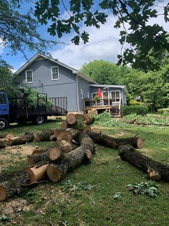 Dandy Tree Service | 3376 Ivey Point Rd, Goodlettsville, TN 37072, USA | Phone: (615) 479-3584