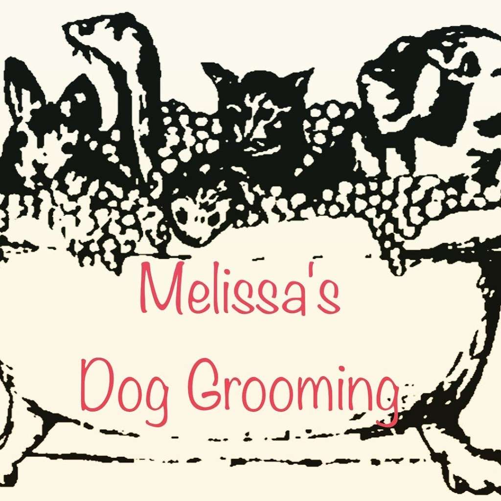 Melissas Dog Grooming | 8648 S Market Pl, Oak Creek, WI 53154, USA | Phone: (414) 762-5585