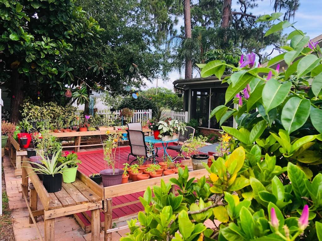 Our Butterfly Home | 207 College Ave W, Ruskin, FL 33570, USA | Phone: (813) 400-3338