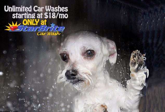 Star Brite Car Wash | 721 PA-113, Souderton, PA 18964, USA | Phone: (215) 550-7827