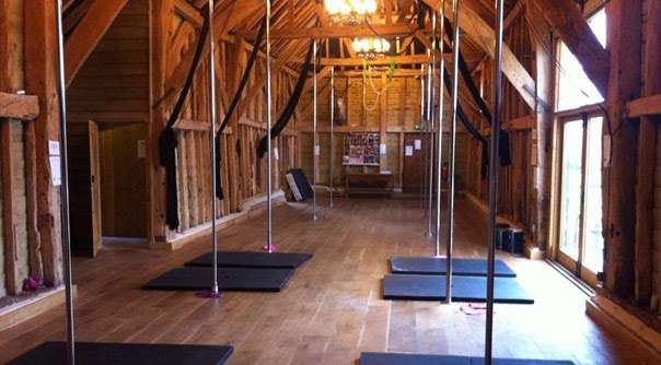 The Pole Studio | Rusper Road, Capel, Dorking RH5 5HF, UK | Phone: 07877 213946