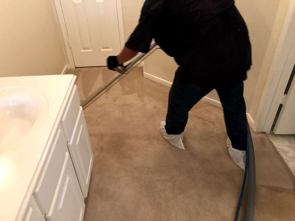 Carpet Cleaning | 5325 Scott St, Houston, TX 77004, USA | Phone: (832) 962-1068